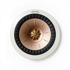 bookshelf speakers