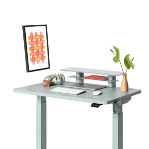 Pavo Monitor Stand Small Sage Desk Organizer Workspace-0
